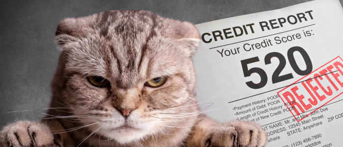 Bad Credit Really Sucks