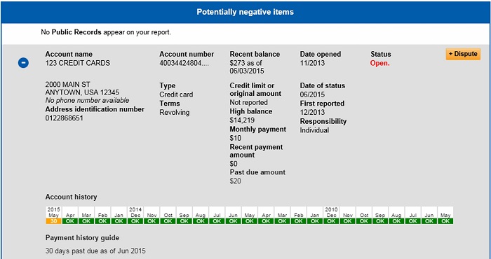 Experian - Potentially Negative Items
