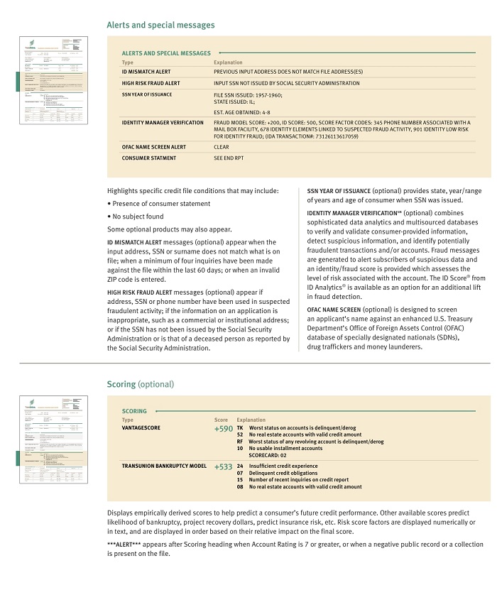 TransUnion - Credit Report Fields Explained Continued