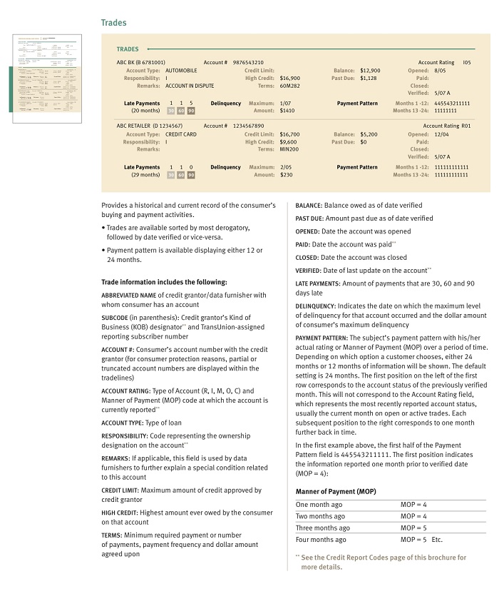 TransUnion - Credit Report Fields Explained Continued